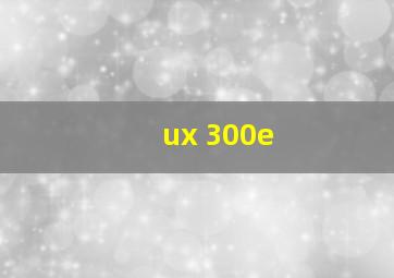 ux 300e